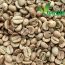 Arabica Coffee Beans S18 Standard